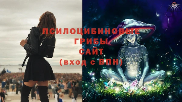 стафф Верхний Тагил