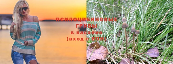 стафф Верхний Тагил
